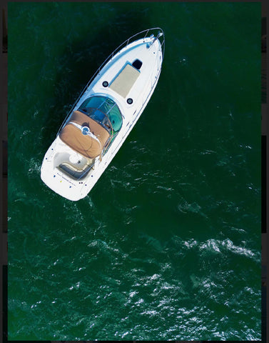 Rental Great Sea Ray 38” Miami yatch (Capacity max 13 people)